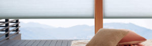 hunter douglas duette shades on sale