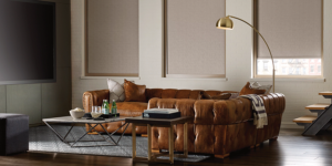 motorized roller shades benefits and features for Milwaukee homes