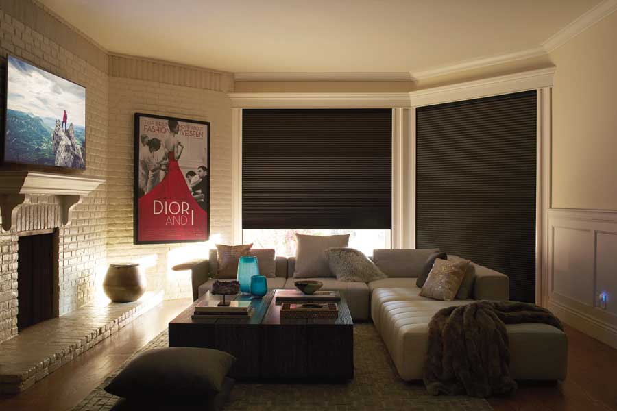 Duette® Honeycomb Shades in media room in Milwaukee, WI home