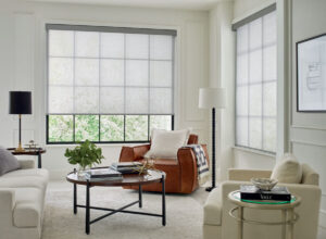 solar shades in dining room