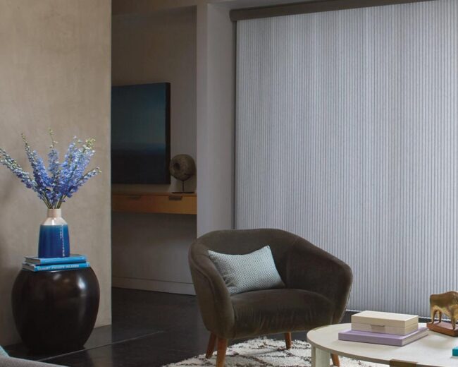 living room with white vertical honeycomb blinds