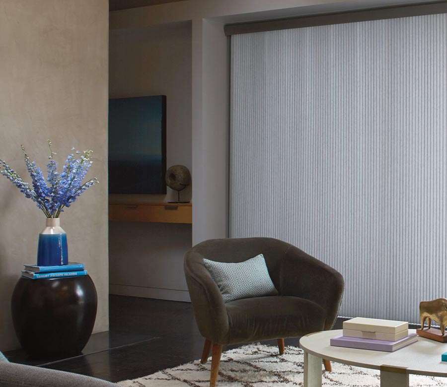 living room with white vertical honeycomb blinds
