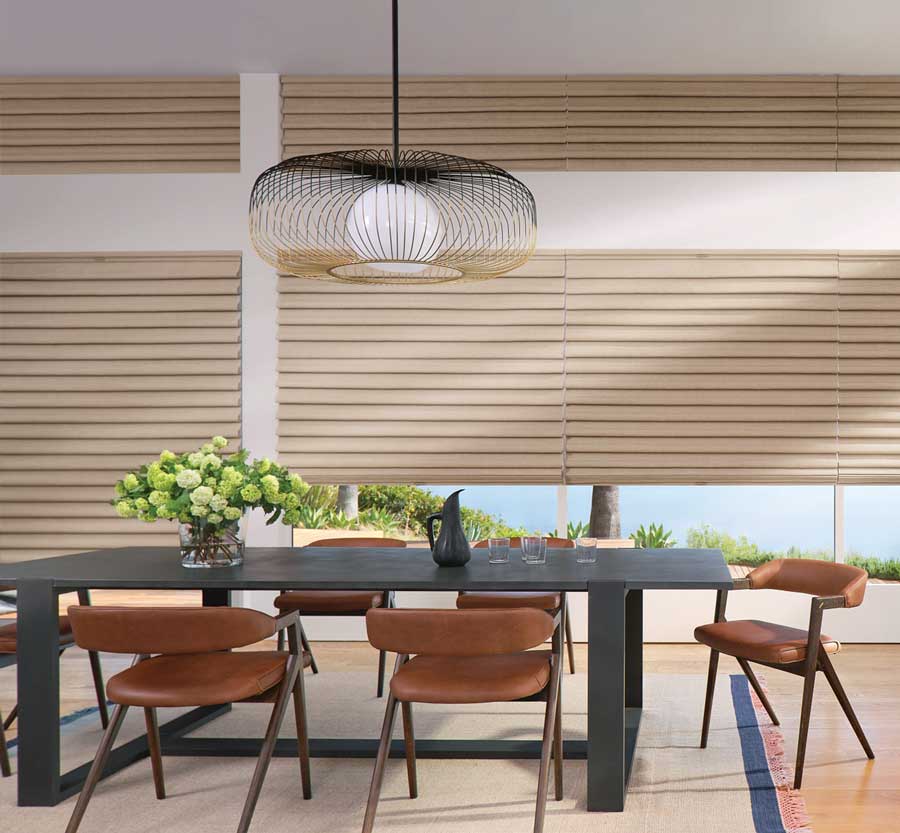 modern roman shades in living room