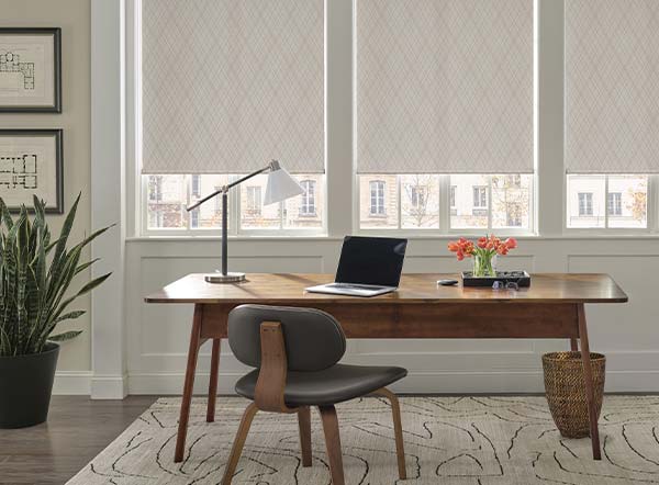 roller-shades-hunter-doulas-bazaar-home-decorating