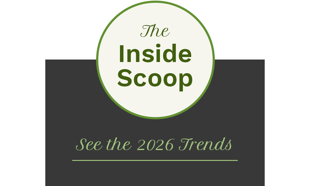 window trends