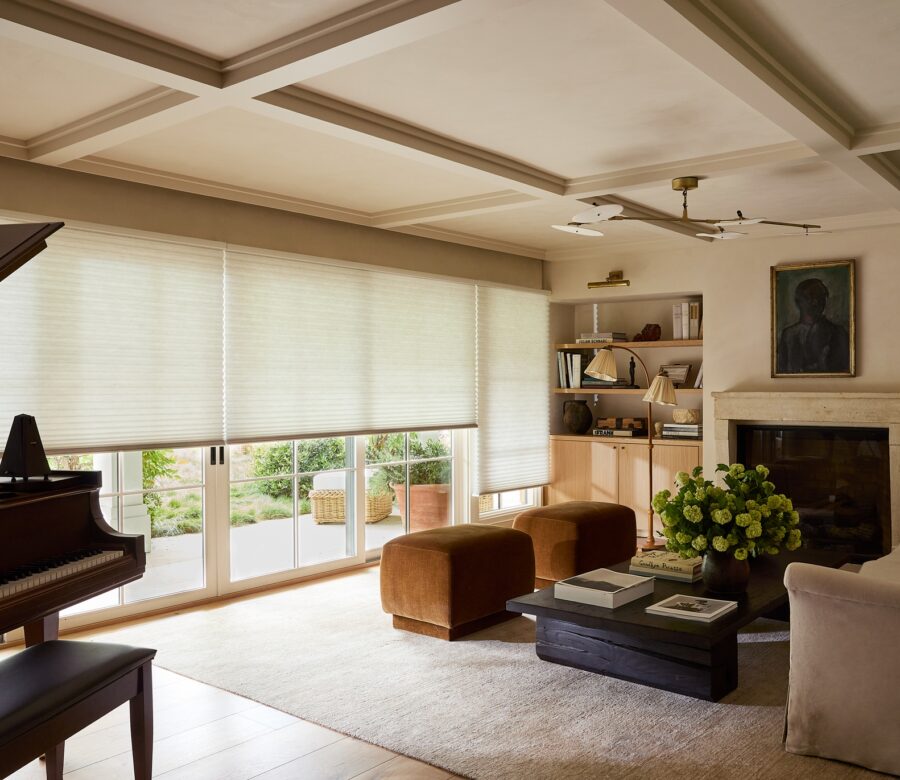 White Duette Honeycomb Shades providing light control in a living room