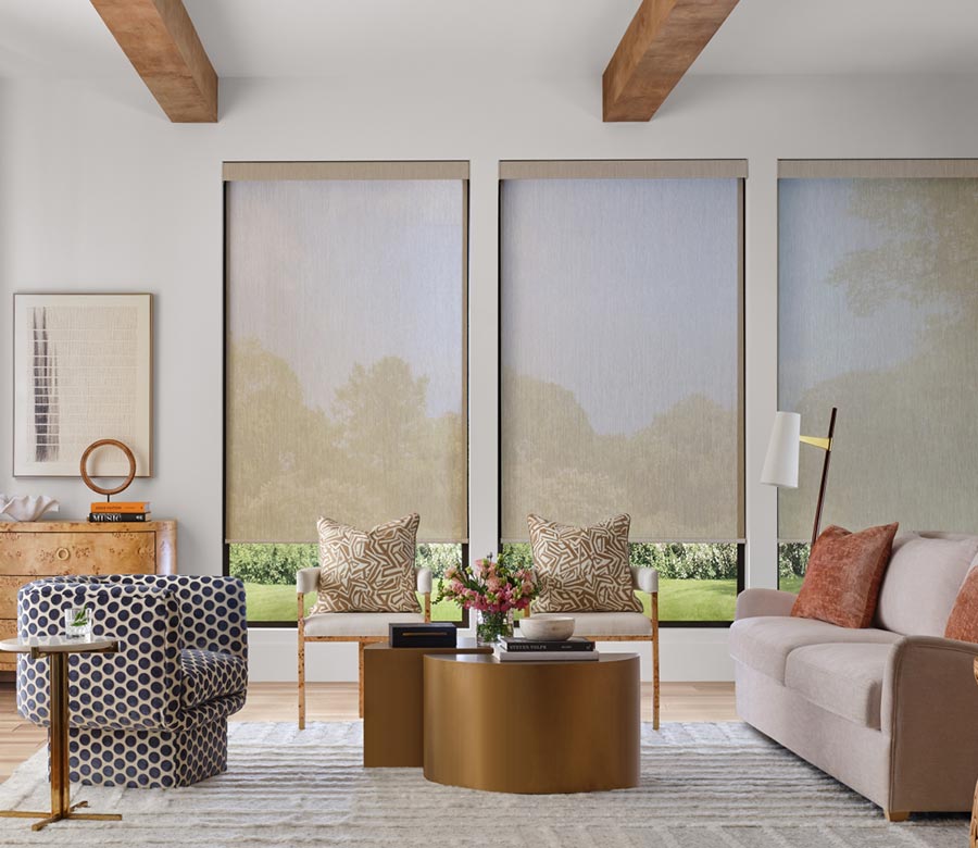 screen shades that are light filtering for living room in milwaukee
